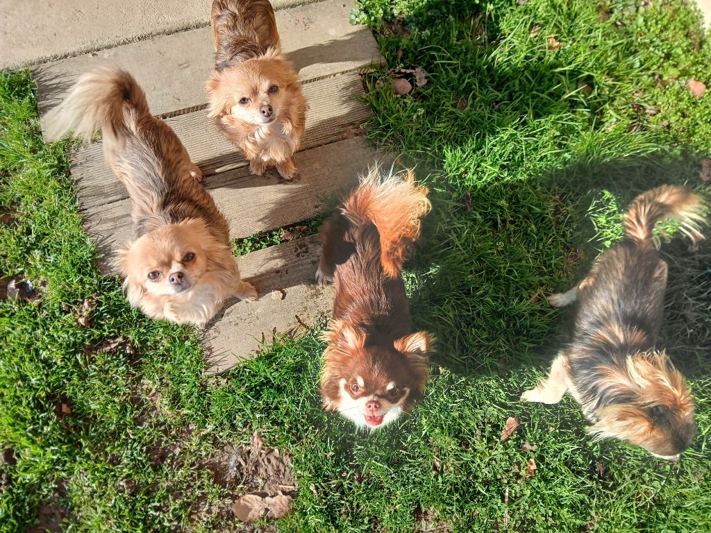 RDV fin 2025 / début 2026 