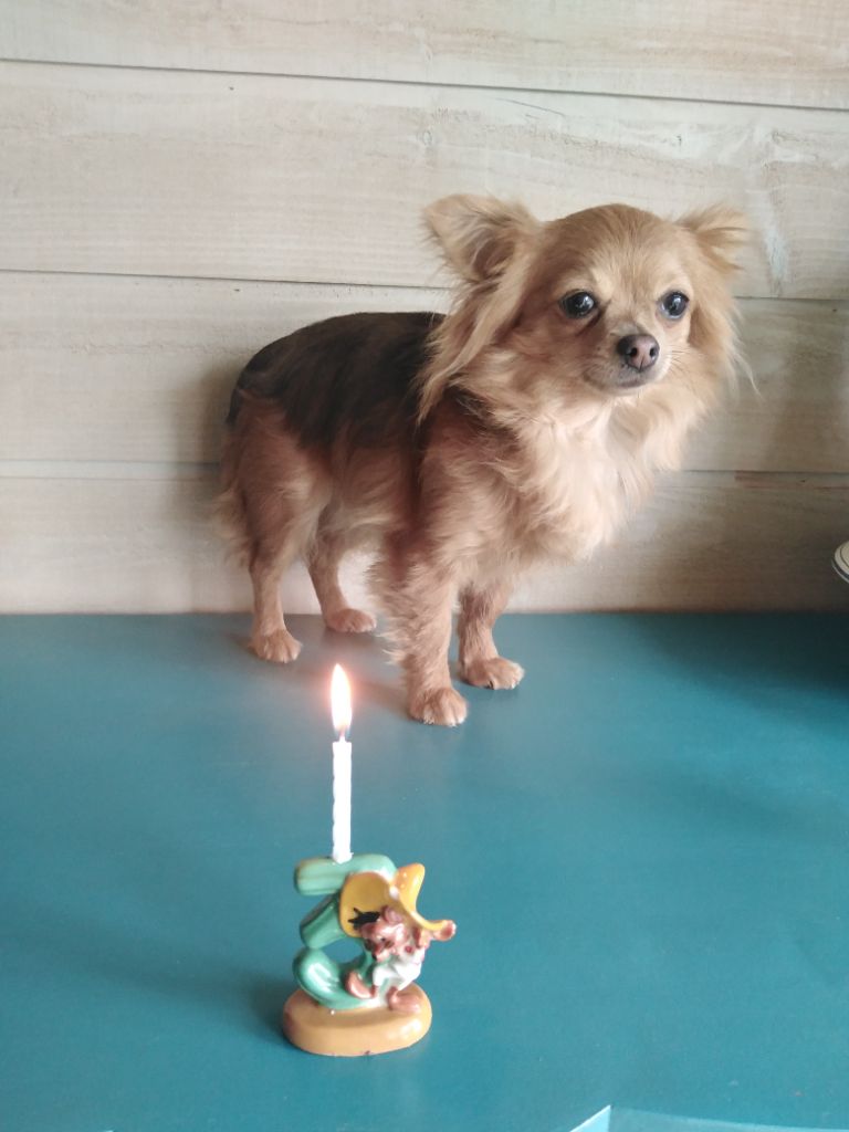 ANNIVERSAIRES